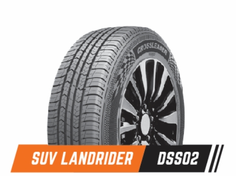 Double star 205/60 r16 DH08 China (2825)