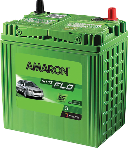 Amaron Flo 1Smf India 21mos.