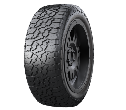 Roadx 205/65 r16C 8Ply RXQuest C02 China (0125)